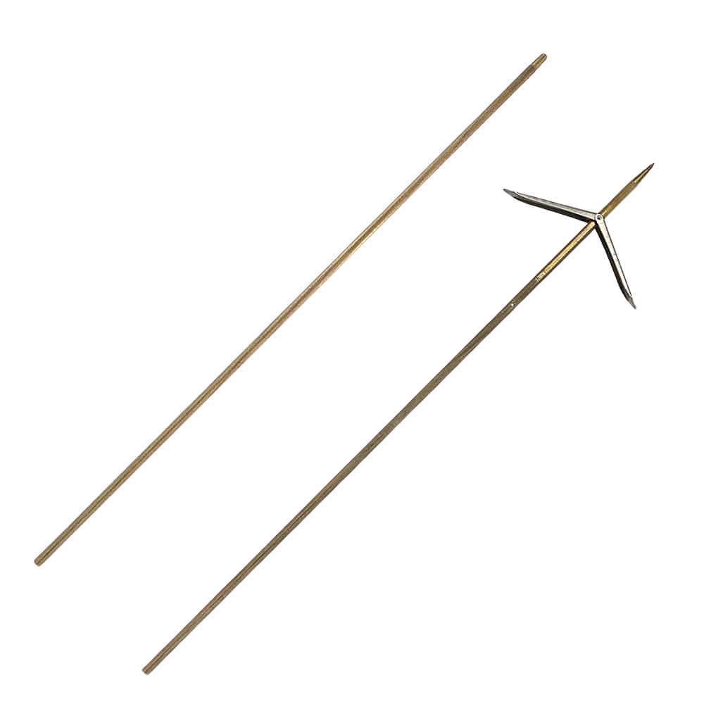 Asta Aria X-Shaft Free