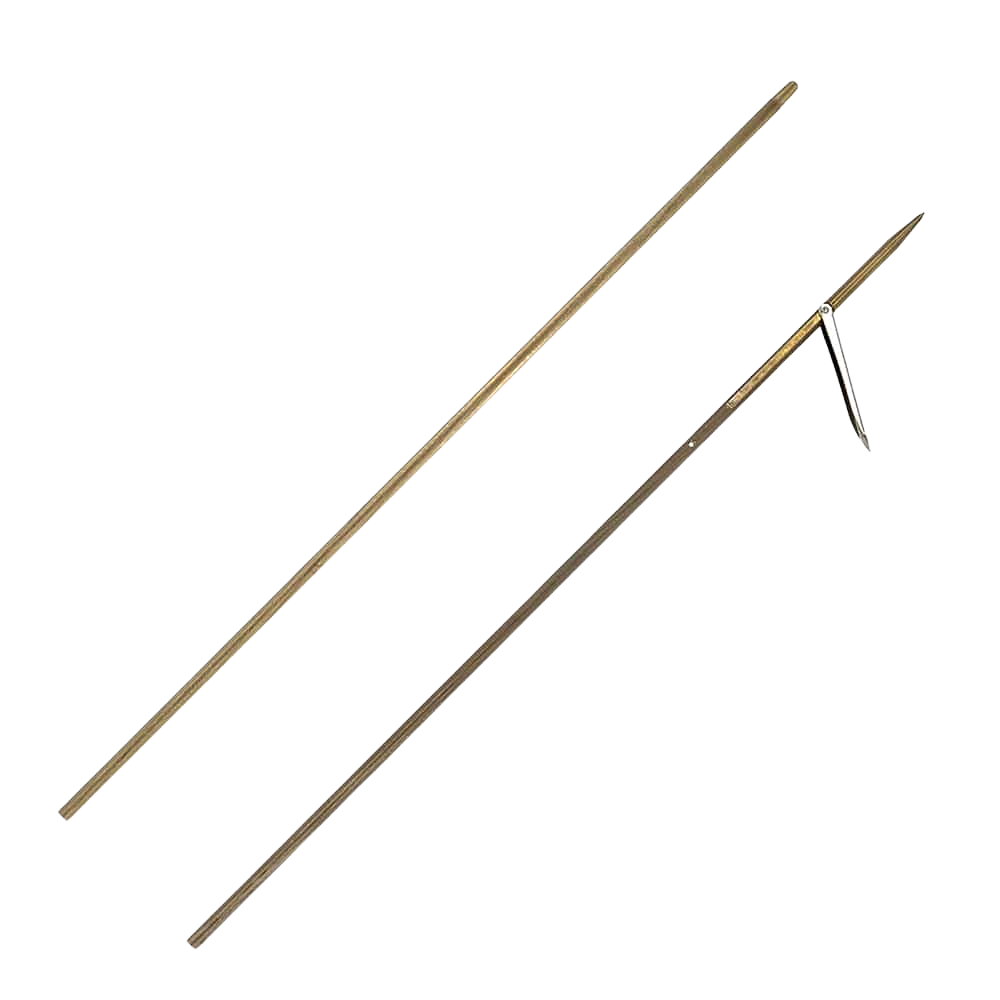 Asta Aria X-Shaft Free