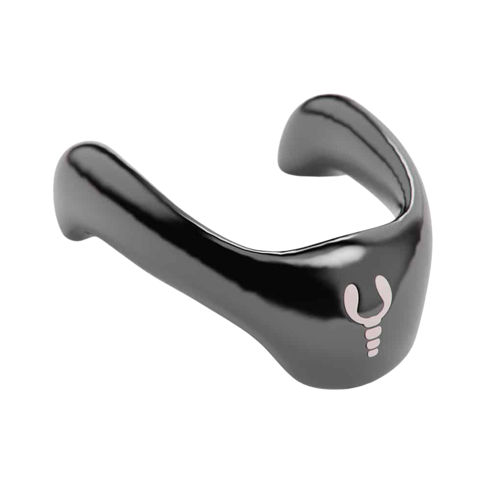 Base Collare Lobster - Black
