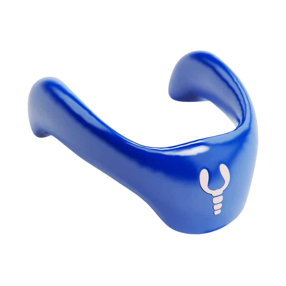 Base Collare Lobster - Dark Blue