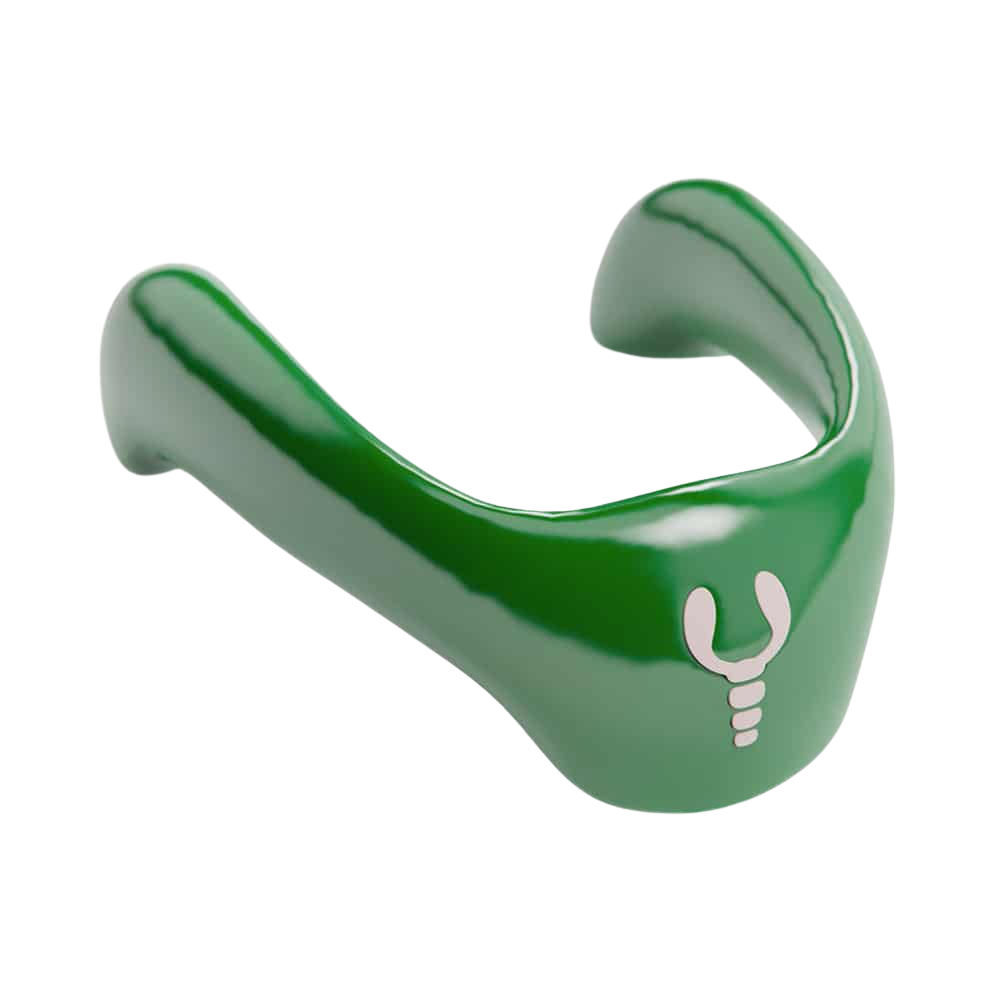Base Collare Lobster - Green