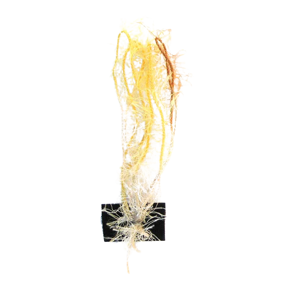 Ciuffo Alga - Pkmchf