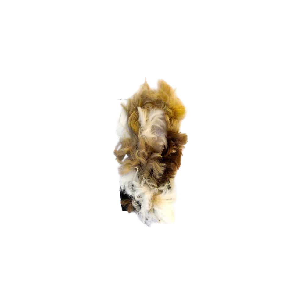 Ciuffo Alga - Pkmcho
