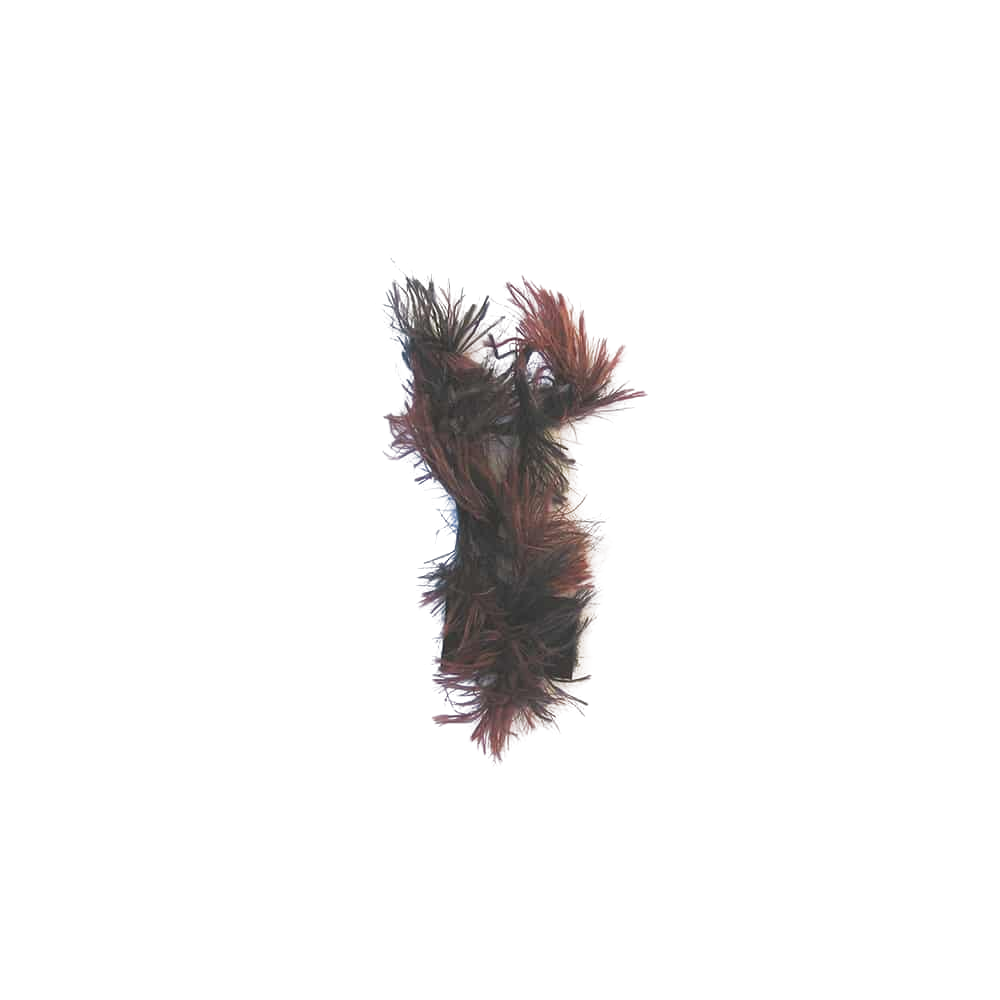 Ciuffo Alga - Pkmhd