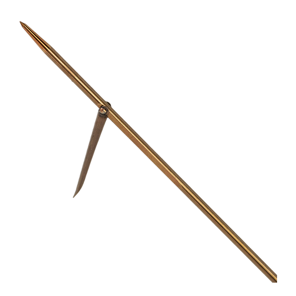 Asta Hybrid - Tacche
