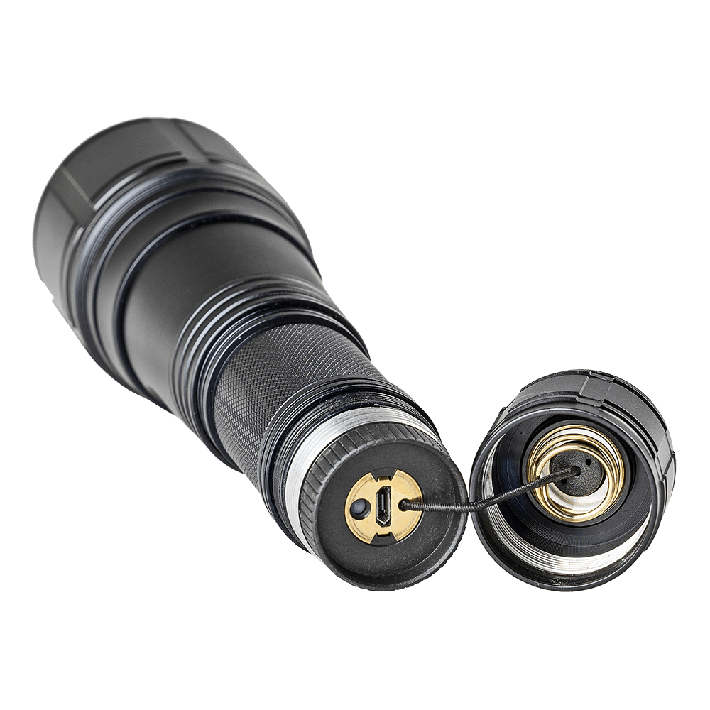 Torcia Focus